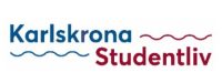 Skärmbild 2025-07-31 190815